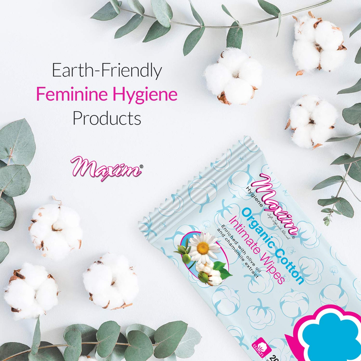Maxim® Disinfecting Wet Wipes, Hypoallergenic, Biodegradable, Unscented, Hand Sanitizer, Single Packed, 20 Count, 1 Pack